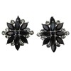 Faship Stunning Black Crystal Floral Clip On Style Earrings -