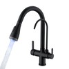 ICREEH Matte Black 2 in 1 Kitchen Sink Faucet -
