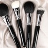 T4B LUSSONI 300 Series Professional Makeup Brushes for Bronzer, Highlighter,