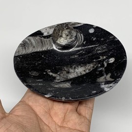WatanGems 4pcs Set, 762g, 4.8" x 3.8" Handcrafted Oval Shape Ring Black Fossils Orthoceras Ammonite Bowl, Unique Gemstone Polished from Morocco, B8841