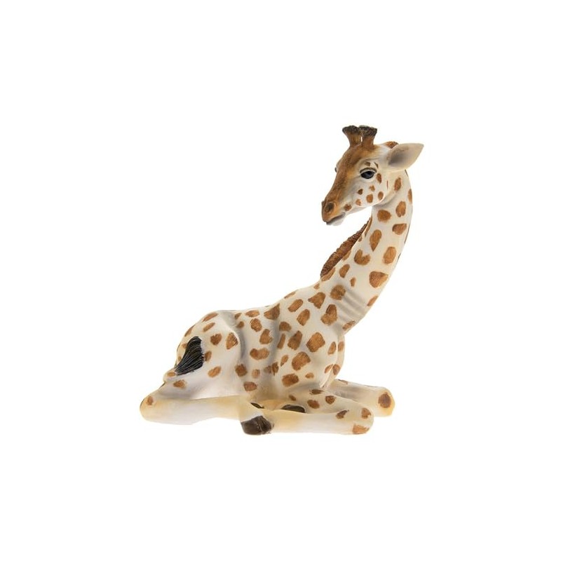 Jungle Animal Giraffe Sitting Small