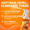 Dpnamron NI-712 Odor Eliminator, Orange, 1 Pint