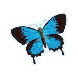 Gayla Industries 843 Blue Swallowtail Butterfly Wildlife Wing Flapper Kite-55 Wingspan (Set of 2 Kites)