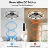 Franjulia Ceiling Fans with Lights and Remote, 20'' Low Profile