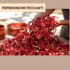 ARTIGIANI DEI SAPORI - Crushed Calabrian Chili Pepper Spread, 9.8