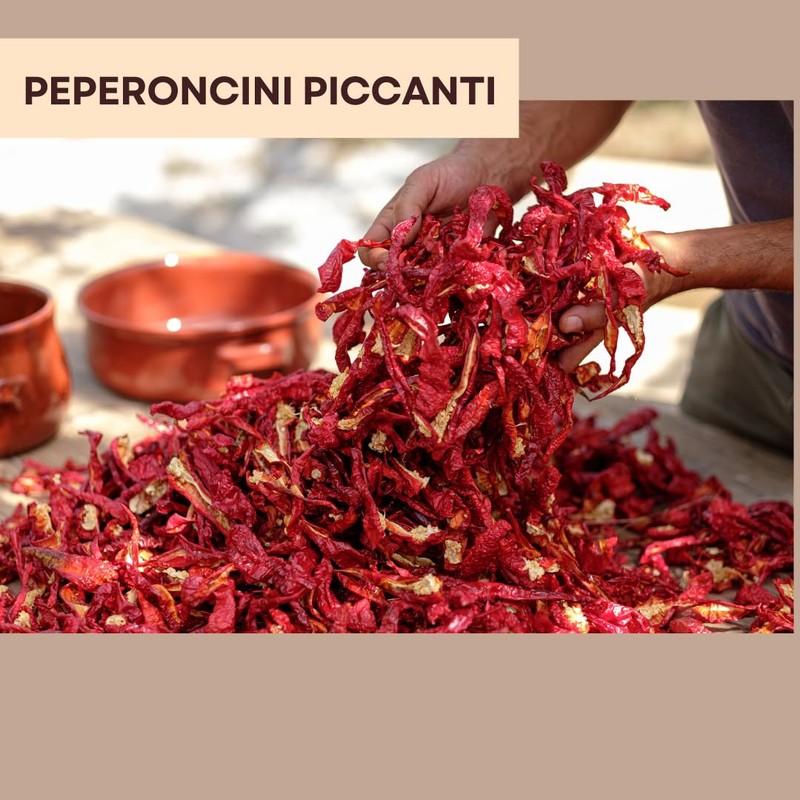 ARTIGIANI DEI SAPORI - Crushed Calabrian Chili Pepper Spread, 9.8