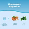 Bandini® Liposomal Magnesium | 250 ml Liquid Format | High