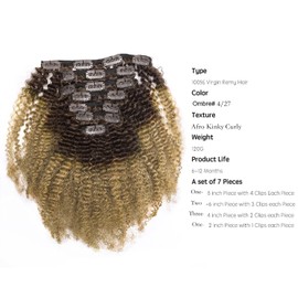 Lacer Hair Extensions Ombre Remy Clip in Human Hair Extensions Afro Kinky Curly 3C 4A 4B 100% Natural Black Hair Extensions 14 inch Two Tone T#1B/27 Strawberry Blonde Full Head