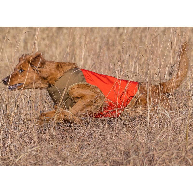 CUGA Vest Serious Protection for The Active Dog (MED, Orange/Coyote)