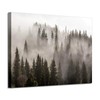 Foggy Forest Picture Wall Art: Landscape Artwork Photographic Print on