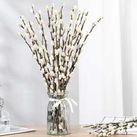 Natural Preserved Dried PussyWillow Branches, 15 Stems Real Willows, 17" Snow Pussywillows, Dried Flowers for Indoor and Outdoor Decor