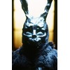 Donnie Darko