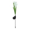 Solar Powered Flower Lights Waterproof Outdoor Solar Garden Stake Lights