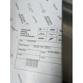 VESPA OEM Variable Speed Belt GTS 300 1A009598