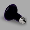 HARTOMPET 75W Reptile Night Light Bulb - Purple Basking Lamp