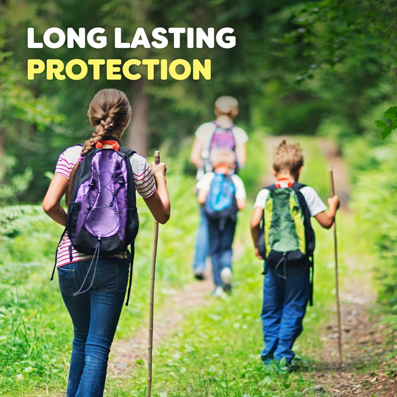 RaidOFF Off Deep Woods Insect Repellent 6oz (Pack of 3)