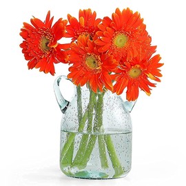 MDLUU Seeded Glass Vase, 4.6" W x 6.7" H, Clear, Double Ear Design, Coastal Modern Style, Perfect for Dining Room, Bedroom, Bathroom