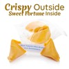 Snackathon Fortune Cookies, Individually Wrapped, Bulk Pack, Premium USA Made