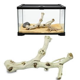 BNOSDM Reptile Branches, 9.5-11.4inch Snake Climbing Branch, Terrarium Wood Branch Decor, Bearded Dragon Tank Climbing Accessories for Lizard, Gecko, Chameleon, Frog