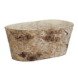 Napco 21389 Enchanted Flora-Birch Bark Wood Planter/Cache Pot with Liner, Oval