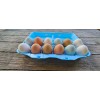 cheep cartons Styrofoam Bulk Egg Cartons (50 pack) Blue
