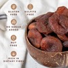Biomey Organic Sun-Dried Turkish Apricots, No Sugar Added, Non-GMO, Gluten-Free,
