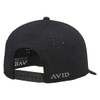 Avid Pro Perfromance Snapback Hat (US, Alpha, One Size, Aspen)