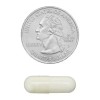 Complejo Niacin 500mg 240 Cps Niancina Vitamina B3 Spring Va