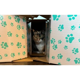 Muggins & Bluebelle's Cat Tunnel to Hide, Play and Scratch with 3 Interlocking - Easy to Assemble and Collapsible Kitty Tunnels