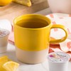 Bigelow Benefits Stay Well Lemon Echinacea Keurig K-Cups Pods Herbal