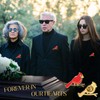 Cardinal Memorial Pins Bulk, Red Cardinal Lapel Pins “Forever in
