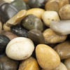 MSI Decorative Polished Mixed Pebbles, 0.8 inch - 1.2 inch,