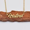 Paulina Name Tag Necklaces for Her His Friends Familys Relationship