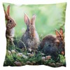 texpot Cushion Cover 40 x 40 cm Print 3 Rabbits