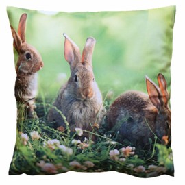 texpot Cushion Cover 40 x 40 cm Print 3 Rabbits Easter Cushion Spring Zip