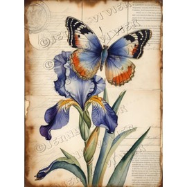 Purple Flower Decor Butterfly and Iris Vintage Metal Sign for Home Office, Aluminum, 12x8 inches