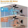 AYSEMO 36" Low Profile Ceiling Fan with Lights & Remote,