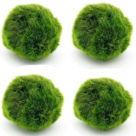 AMICET Aquarium Decoration Moss for Fish Tank Landscaping Balls (4pcs, 1.37in)