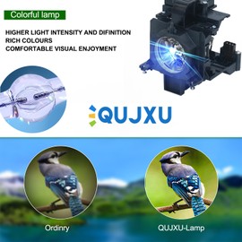 QUJXU POA-LMP136 Assembly with Genuine OEM Bulb Inside Projector Lamp Assembly with Original Bulb Inside Compatible with Sanyo PLC-WM5500 PLC-WM5500L PLC-XM150 PLC-XM150L PLC-ZM5000 PLC-ZM5000L
