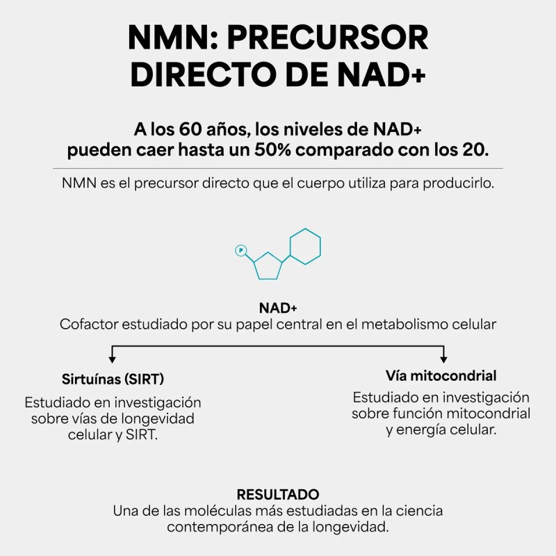 Nmn Ultra Pure 000mg Por Dosis 100 Cáps Longevidad