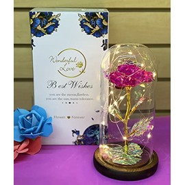 Beauty and The Beast Rose Enchanted Flower with LED Light in Glass Dome for Christmas Valentine's Day Mother's Day Birthday Best Gifts for Girlfriend Wife Women Her - Fuchsia
