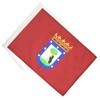 AZ FLAG Madrid Flag 18'' x 12'' cords - Madrid