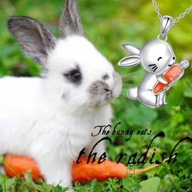 Easter Gifts Rabbit Necklace for Women Girls 925 Sterling Silver Rabbit Carrot Pendant Cute Animal Jewellery, Sterling silver