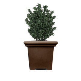 The HC Companies 20" Premium Plastic Terrazzo Square Planter 20"x20"x17.63" in Chocolate Color