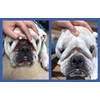Squishface Flexible Silicone Dog Wrinkle Paste Applicator - Gentle Paste