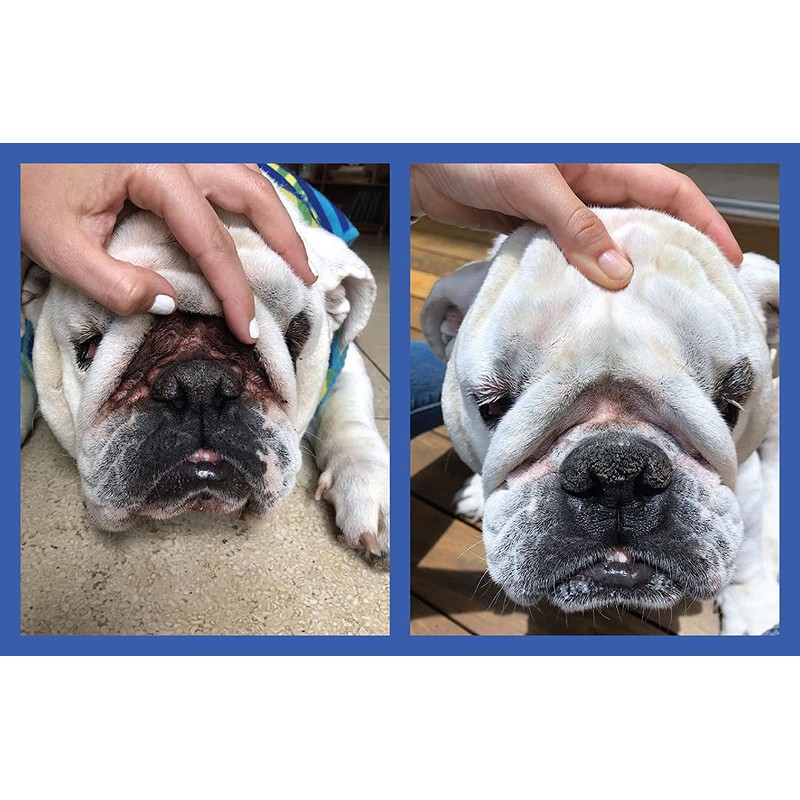 Squishface Flexible Silicone Dog Wrinkle Paste Applicator - Gentle Paste