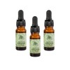 ORE Aceite de Orégano Orgánico, 80% Carvacrol, 100% Natural, Gotas,