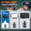 Small Dog Shock Collar with Remote, Lightweight Dog Training Collar