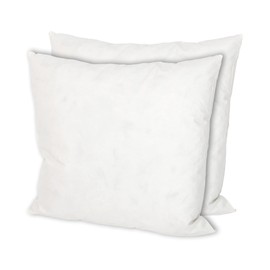 MSS e.K. Set of 2 feather cushions, size: 30 x 30 cm, filling weight: 170 g each, 100% cotton, no live plucking, cushion filling, Nomite certified, mite-free, tested for harmful substances