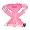 SuperBuddy Upgraded Soft Mesh Dog Harness, Super Breathable Lightweight Pet